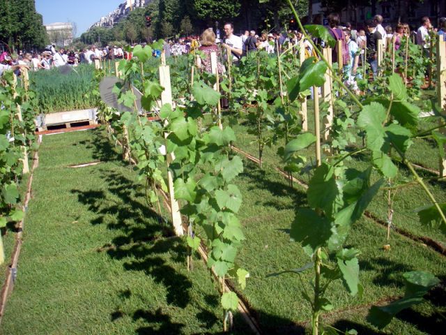 2010 05 24 jeanmarcperfetti.com 075.JPG